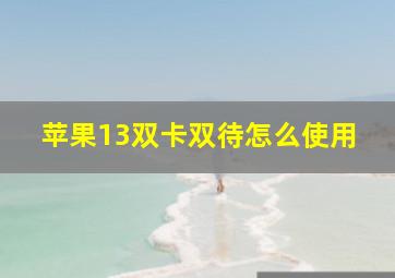 苹果13双卡双待怎么使用