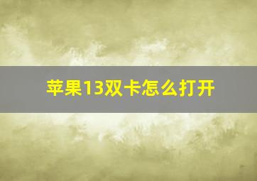 苹果13双卡怎么打开