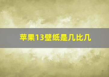 苹果13壁纸是几比几