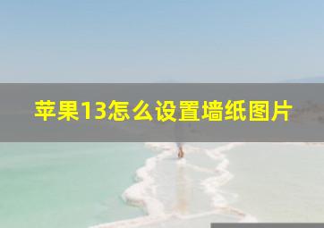 苹果13怎么设置墙纸图片