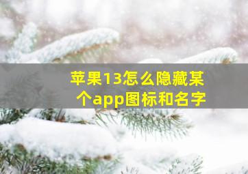 苹果13怎么隐藏某个app图标和名字