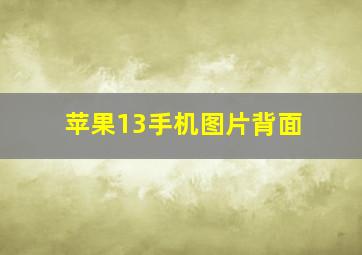 苹果13手机图片背面