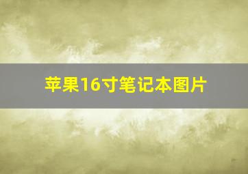 苹果16寸笔记本图片