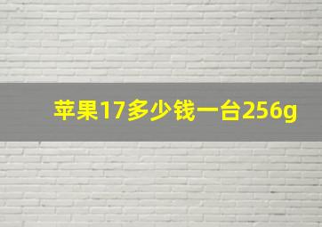 苹果17多少钱一台256g