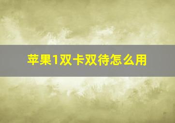 苹果1双卡双待怎么用