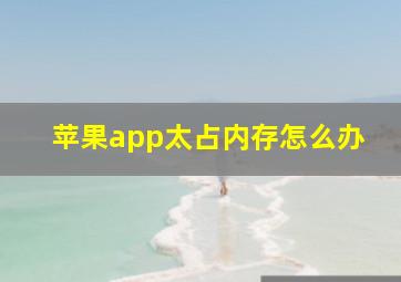 苹果app太占内存怎么办