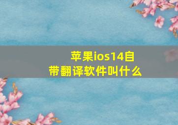 苹果ios14自带翻译软件叫什么