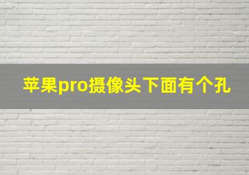 苹果pro摄像头下面有个孔