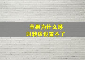 苹果为什么呼叫转移设置不了