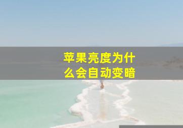 苹果亮度为什么会自动变暗