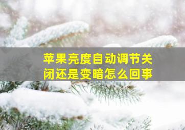 苹果亮度自动调节关闭还是变暗怎么回事