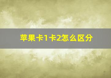 苹果卡1卡2怎么区分