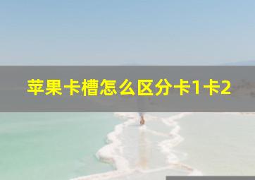 苹果卡槽怎么区分卡1卡2