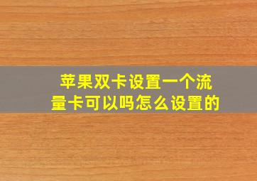 苹果双卡设置一个流量卡可以吗怎么设置的