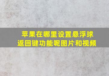 苹果在哪里设置悬浮球返回键功能呢图片和视频