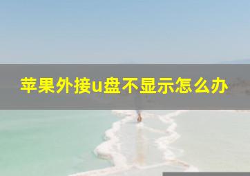 苹果外接u盘不显示怎么办