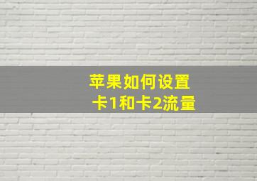 苹果如何设置卡1和卡2流量