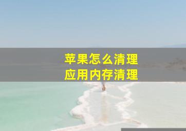 苹果怎么清理应用内存清理