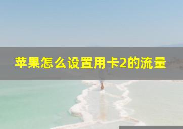 苹果怎么设置用卡2的流量