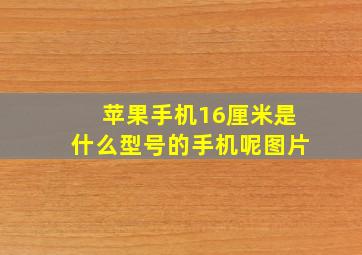 苹果手机16厘米是什么型号的手机呢图片