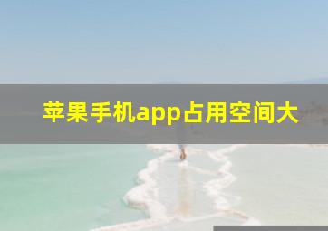 苹果手机app占用空间大