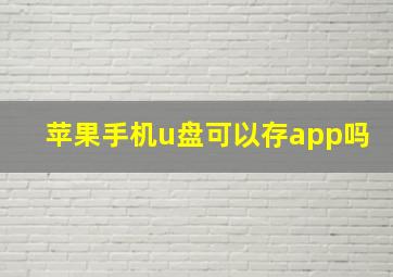 苹果手机u盘可以存app吗