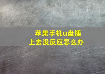 苹果手机u盘插上去没反应怎么办