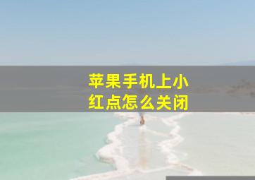 苹果手机上小红点怎么关闭