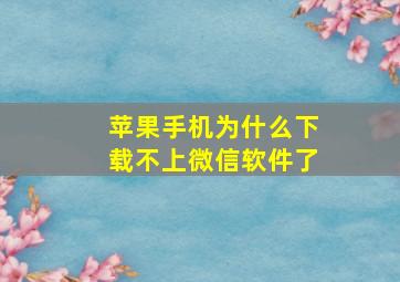 苹果手机为什么下载不上微信软件了