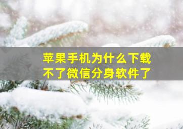 苹果手机为什么下载不了微信分身软件了