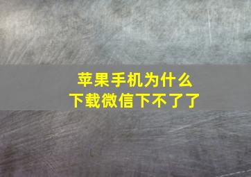 苹果手机为什么下载微信下不了了