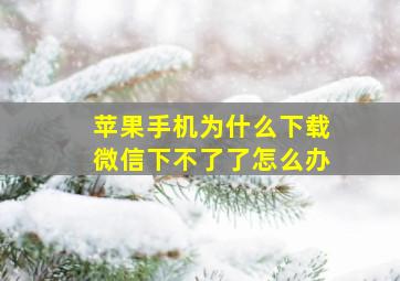 苹果手机为什么下载微信下不了了怎么办