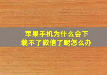 苹果手机为什么会下载不了微信了呢怎么办