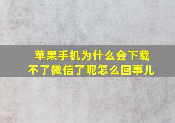 苹果手机为什么会下载不了微信了呢怎么回事儿