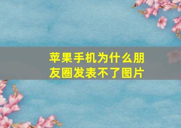 苹果手机为什么朋友圈发表不了图片