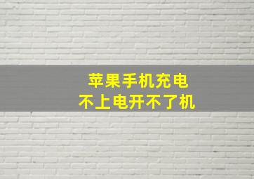 苹果手机充电不上电开不了机