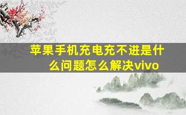 苹果手机充电充不进是什么问题怎么解决vivo