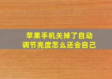 苹果手机关掉了自动调节亮度怎么还会自己