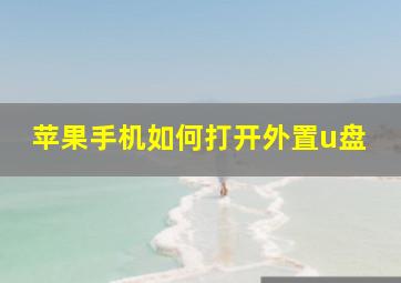 苹果手机如何打开外置u盘