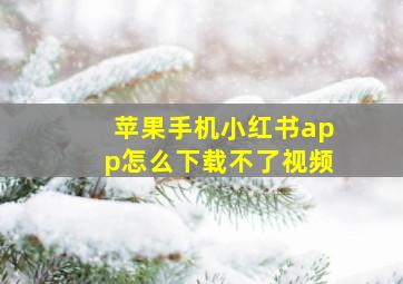 苹果手机小红书app怎么下载不了视频