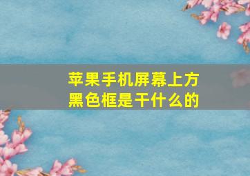 苹果手机屏幕上方黑色框是干什么的