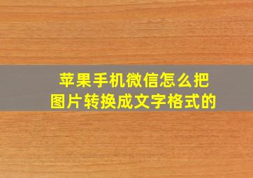 苹果手机微信怎么把图片转换成文字格式的