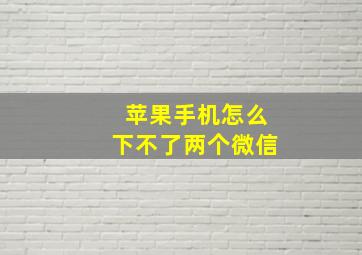 苹果手机怎么下不了两个微信