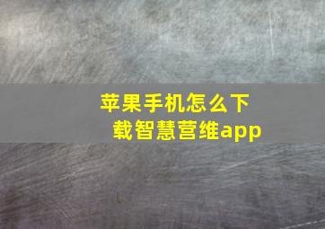 苹果手机怎么下载智慧营维app