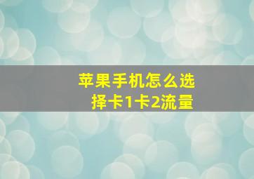 苹果手机怎么选择卡1卡2流量