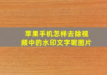 苹果手机怎样去除视频中的水印文字呢图片