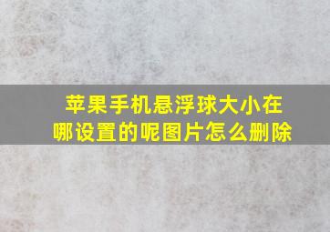 苹果手机悬浮球大小在哪设置的呢图片怎么删除