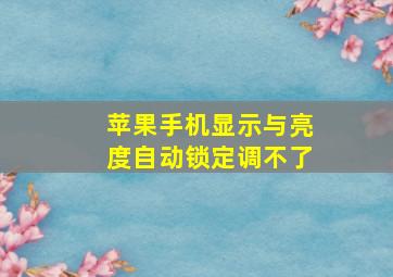 苹果手机显示与亮度自动锁定调不了