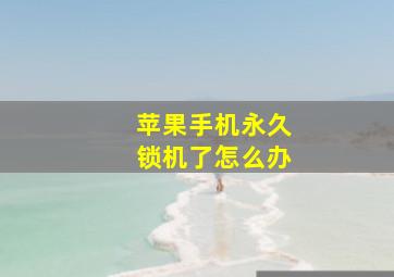 苹果手机永久锁机了怎么办