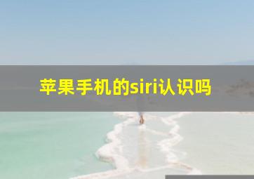 苹果手机的siri认识吗